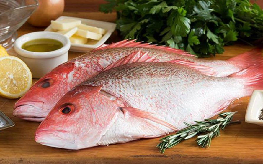 Thực phẩm chứa nhiều omega 3 từ các loại cá tốt cho bà bầu
