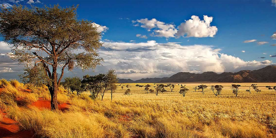 Vùng đất hoang dã Zimbabwe